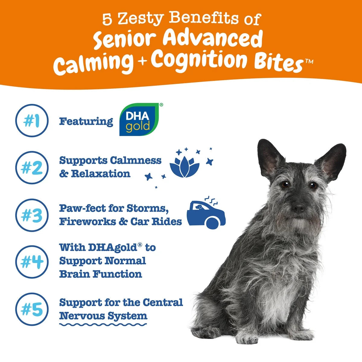 Senior Dog Calming & Cognition Bites - Chicken Flavor, 90 Count for Brain Health & Stress Relief