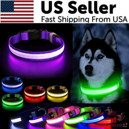 GlowSafe LED Adjustable Dog Collar - Waterproof Blinking Light for Pet Safety