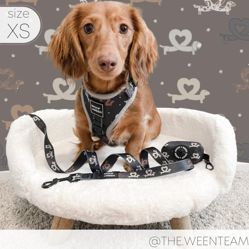 I HEART DACHSHUNDS Adjustable Harness - Perfect Doxie Wiener Dog Gear!