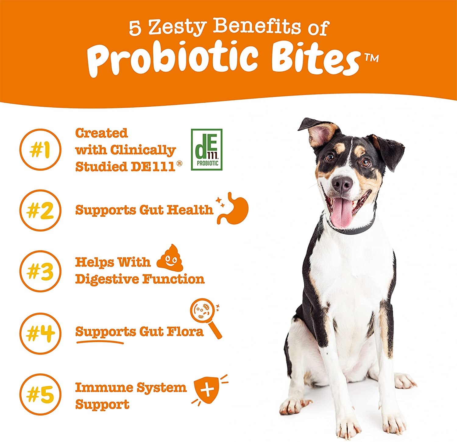 Probiotics for Dogs - Soft Chews with Digestive Enzymes for Optimal Gut Health & Immune Support - Clinically Studied DE111 - Delicious Chicken Flavor