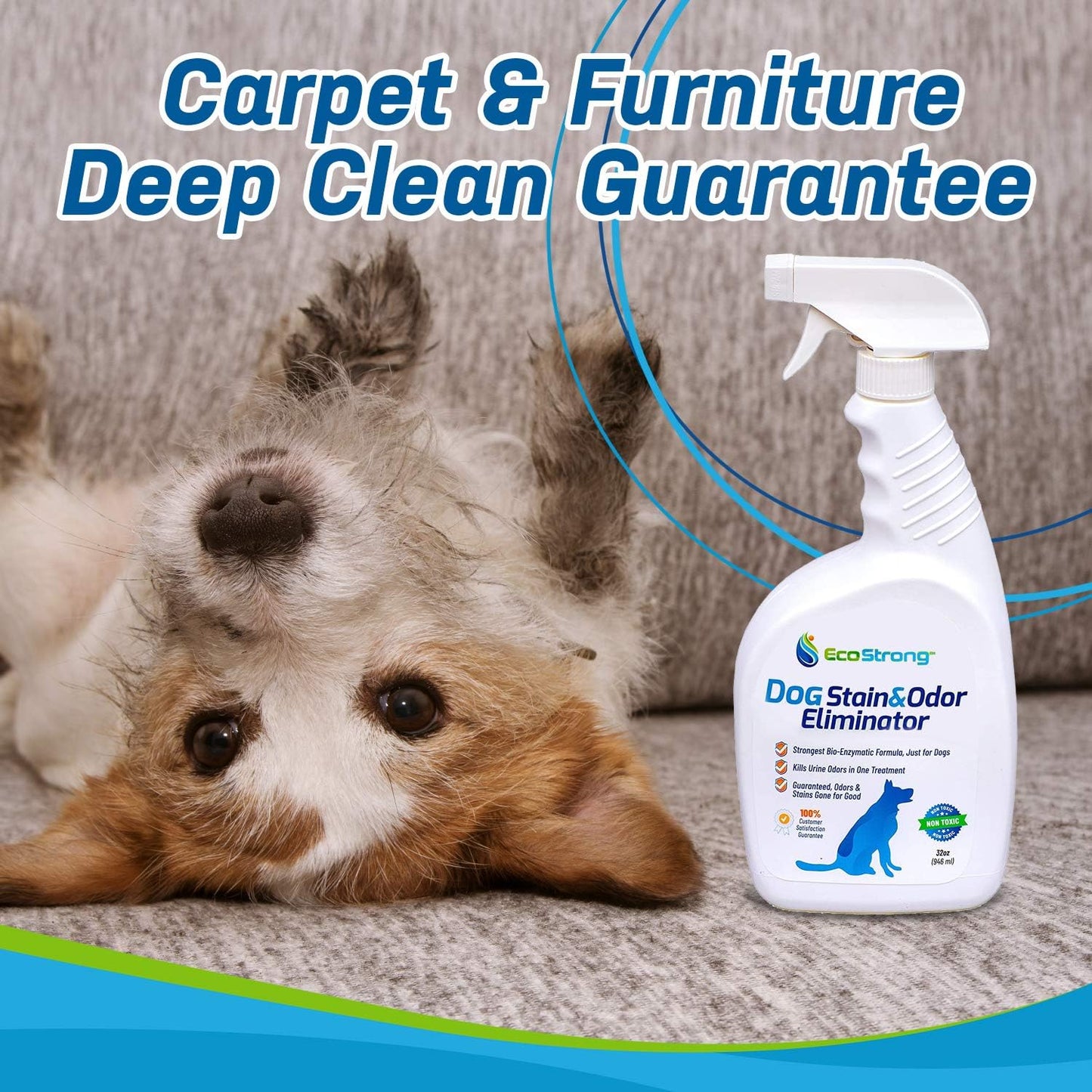 Ultimate Dog Stain & Odor Eliminator - Fast-Acting Enzyme Cleaner for Carpets, Furniture, and More (32oz Spray)