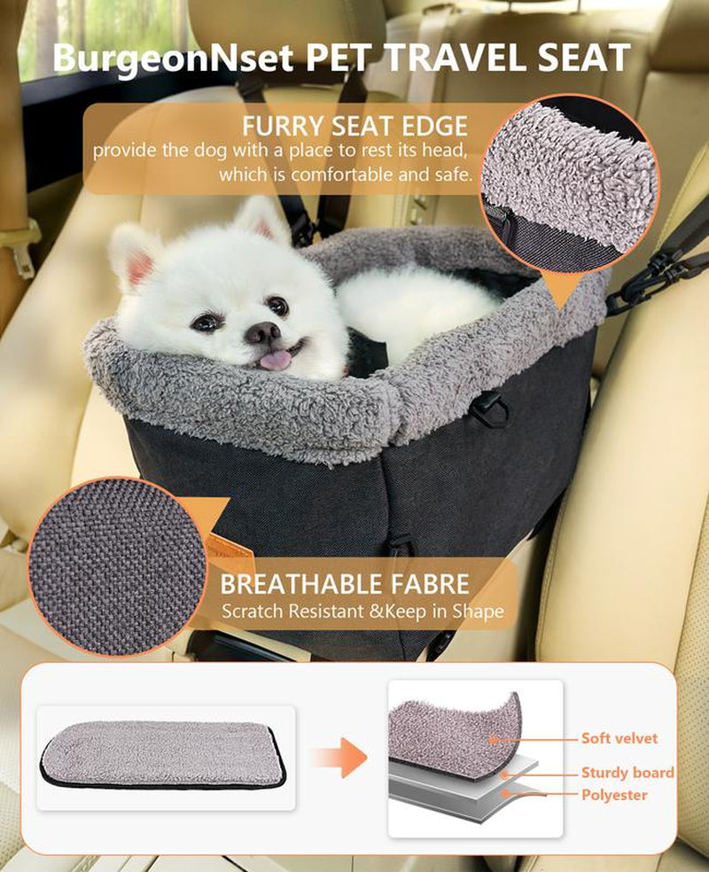 Burgeonnest Premium Dog Car Seat for Small Dogs - Safe & Comfortable Booster Seat with Metal Frame, Washable Cushion, and Double Protection Seat Belts