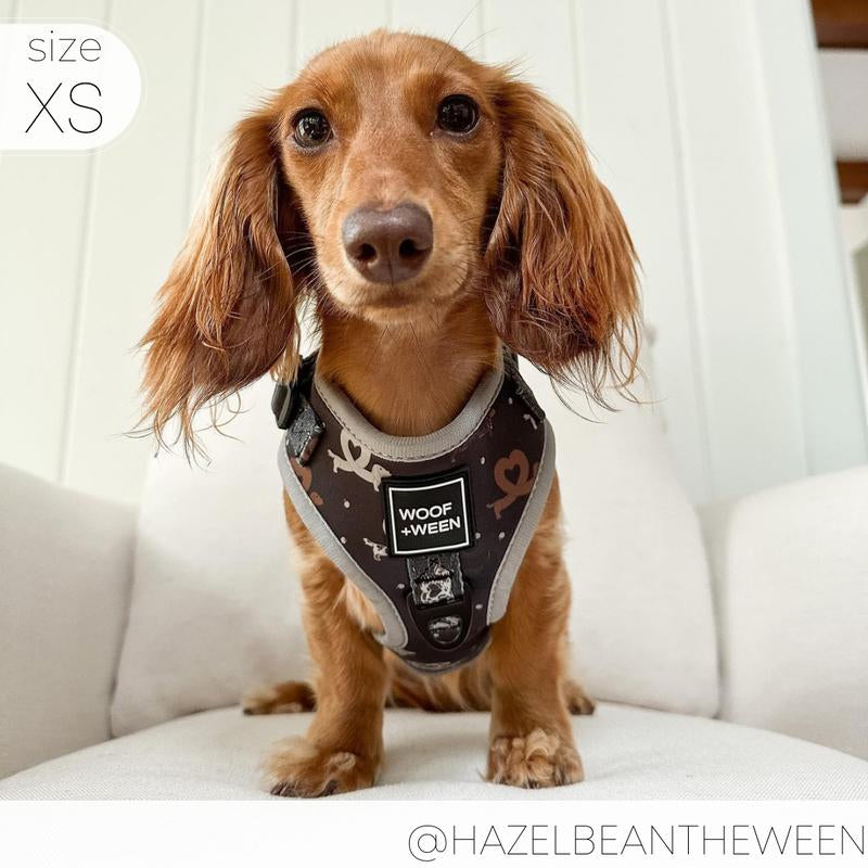 I HEART DACHSHUNDS Adjustable Harness - Perfect Doxie Wiener Dog Gear!