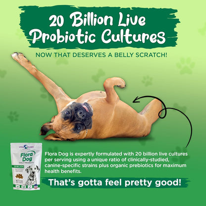 Flora Dog Probiotics - 20 Billion Cultures & 11 Strains for Immune & Digestive Support - Delicious Bacon Flavored Soft Chews for Dogs - 30 Count