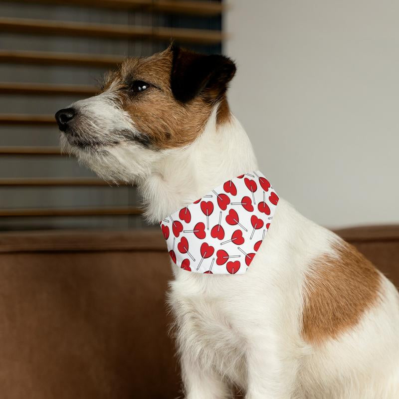 Pet Bandana Collar - Adjustable Black Collar with Plastic Buckle - Available in 4 Sizes - Sublimation Printable