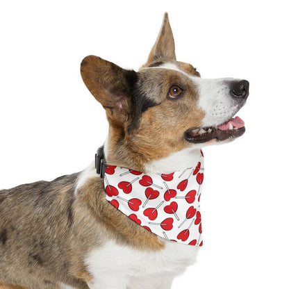 Pet Bandana Collar - Adjustable Black Collar with Plastic Buckle - Available in 4 Sizes - Sublimation Printable