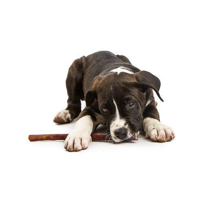 Jack & Pup 12-Inch Premium Bully Stick Trio - Perfect Chew Treat for Dogs!