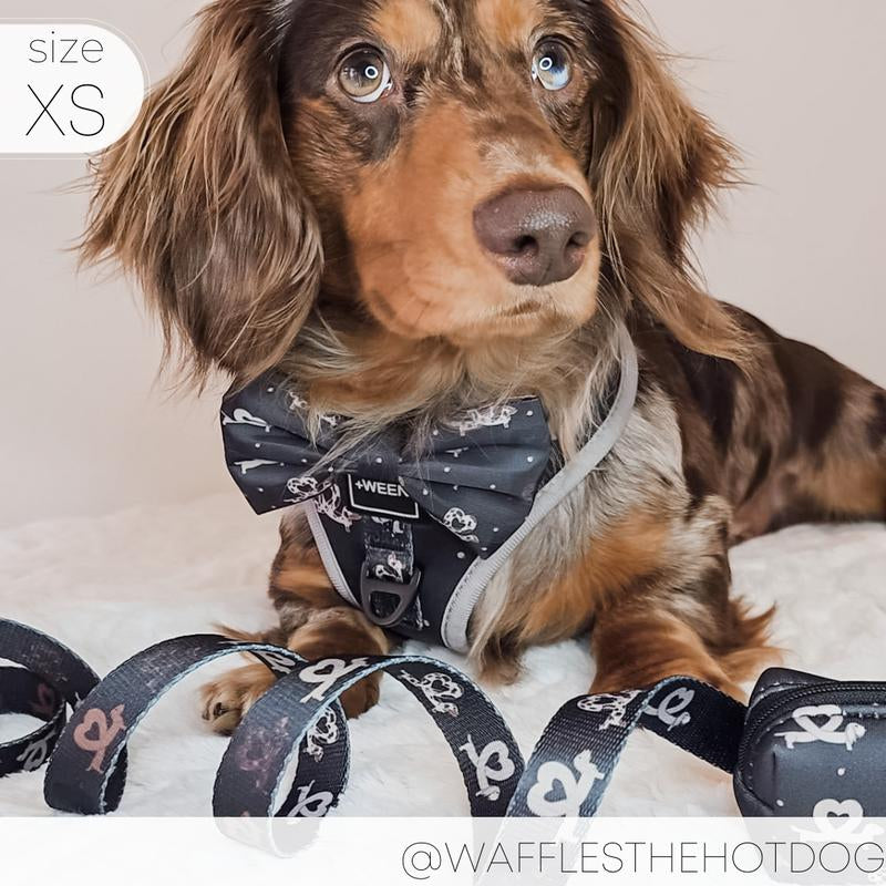 I HEART DACHSHUNDS Adjustable Harness - Perfect Doxie Wiener Dog Gear!