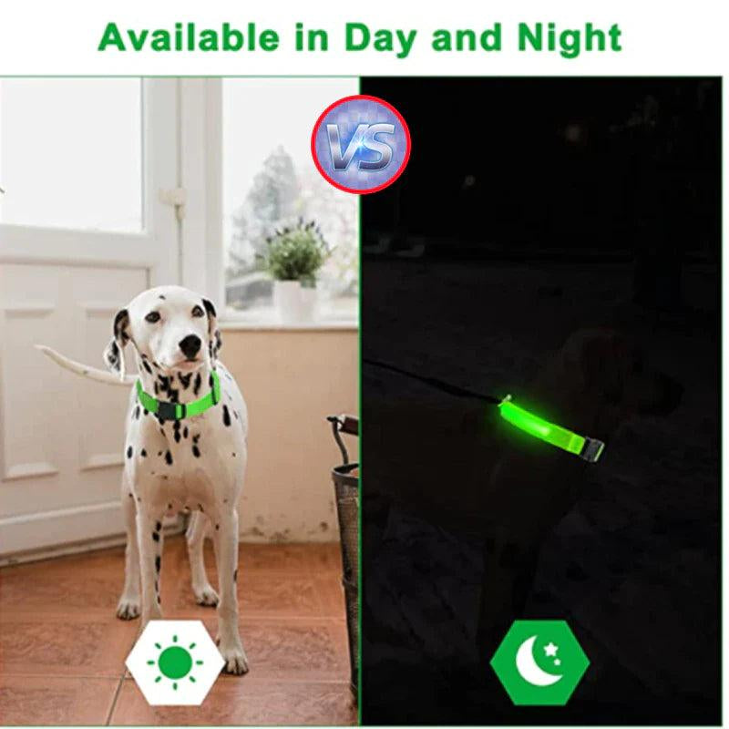 GlowSafe LED Adjustable Dog Collar - Waterproof Blinking Light for Pet Safety