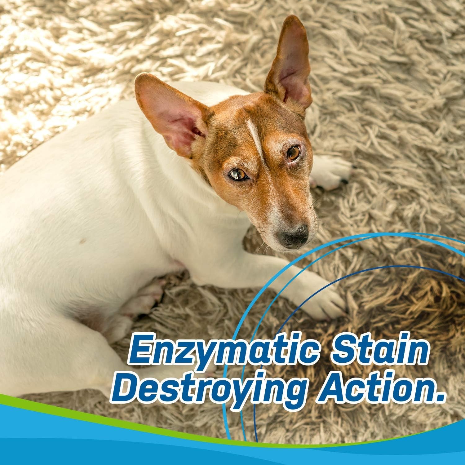 Ultimate Dog Stain & Odor Eliminator - Fast-Acting Enzyme Cleaner for Carpets, Furniture, and More (32oz Spray)